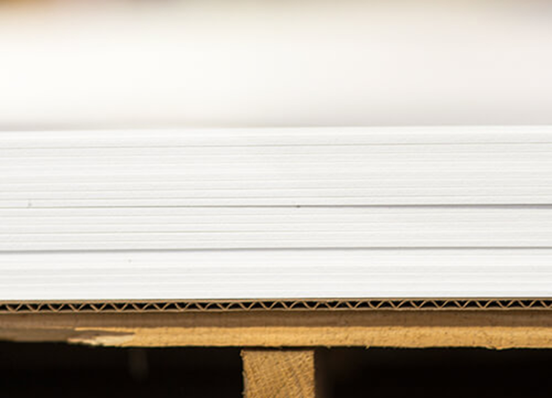 Los Angeles PVC Signs Printing